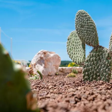 Trullo La E Bella *